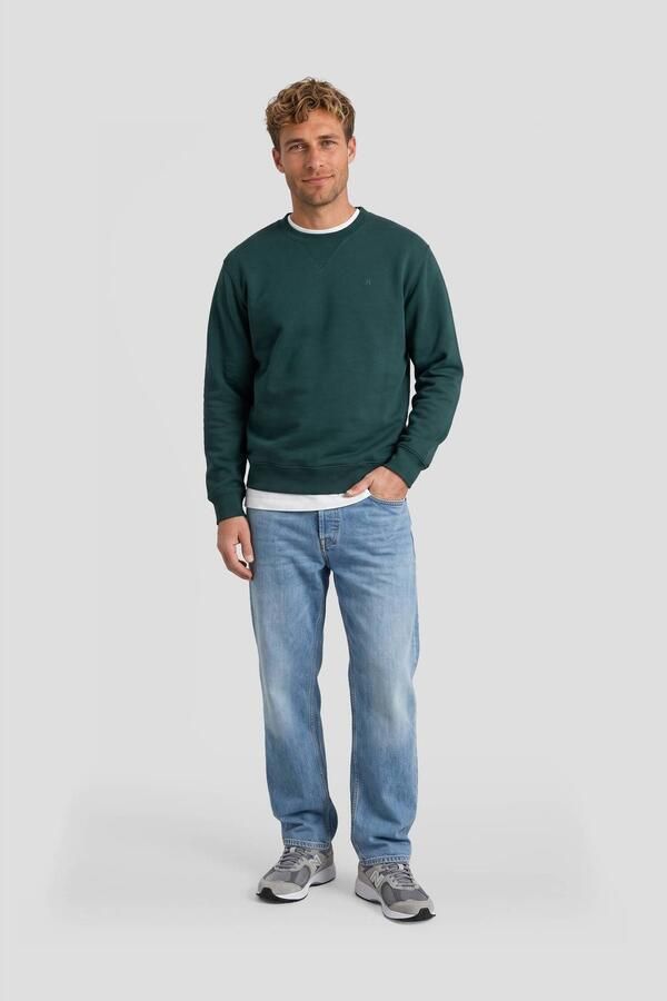 REPLAY regular fit sweater groen - Foto 3