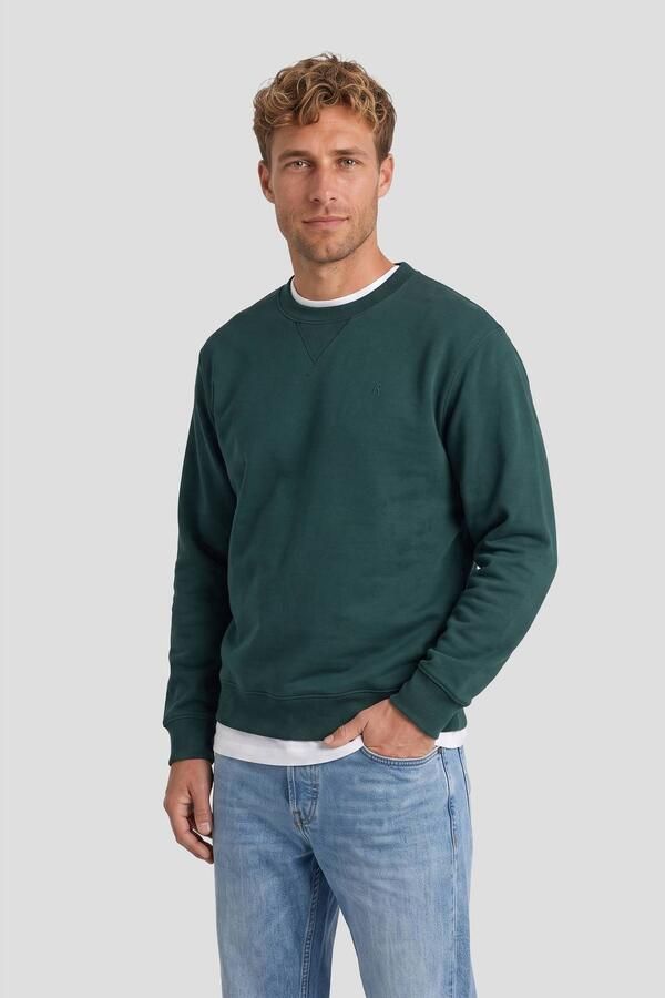 REPLAY regular fit sweater groen