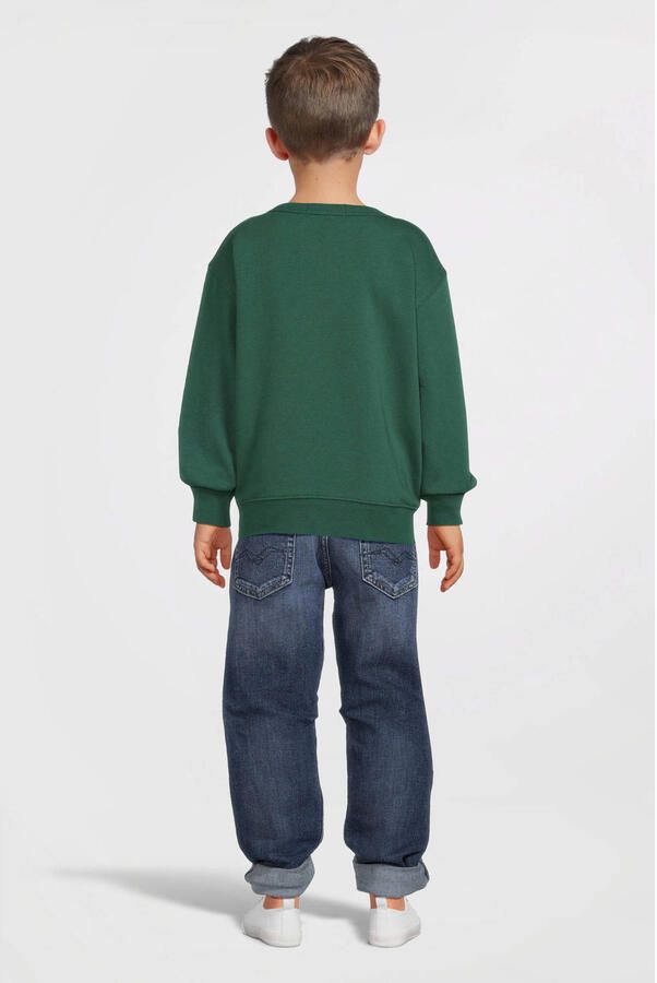 Replay sweater groen Jongens Katoen Ronde hals Effen 164 - Foto 3