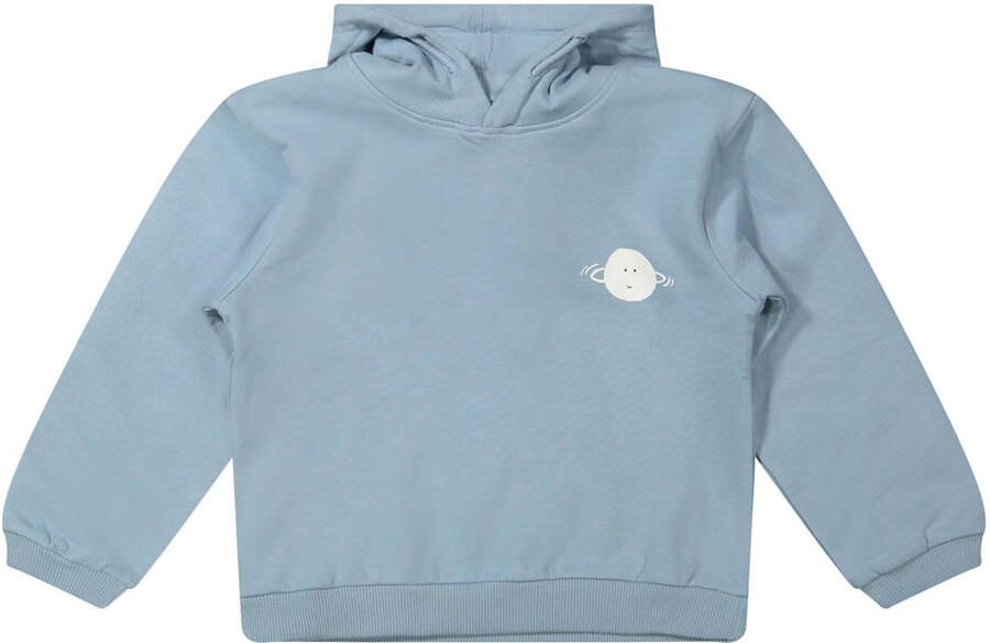 Riffle Amsterdam hoodie met print lichtblauw - Foto 1