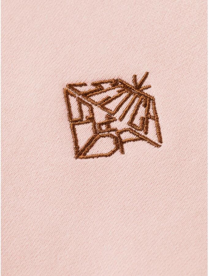 Scotch & Soda sweater roze