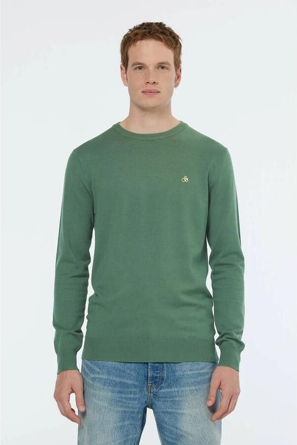 SCOTCH & SODA Heren Truien & Vesten Viscose Regular Fit Crewneck Groen - Foto 2