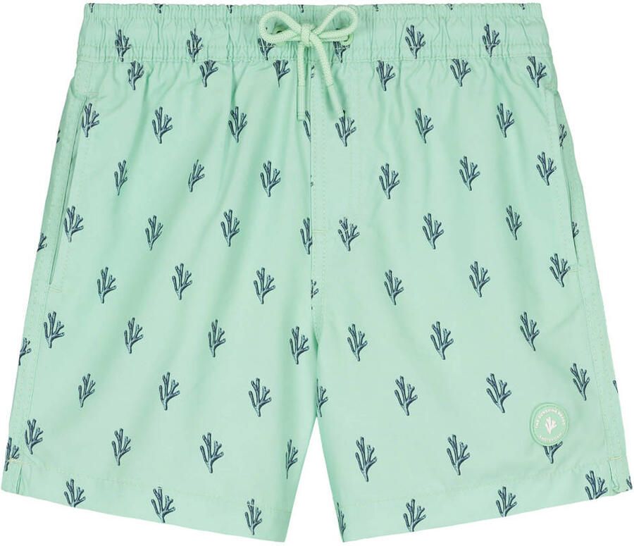 Shiwi zwemshort Milo turquoise