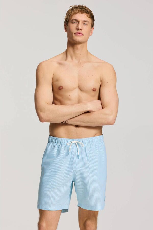SHIWI Heren Zwembroeken Mike Swim Shorts 7 Inch Fine Stripe Lichtblauw - Foto 5