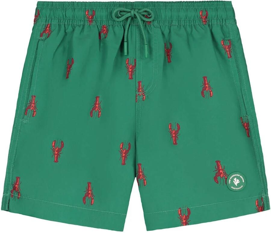 Shiwi The Sunshine Brand zwemshort Milo groen