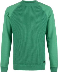 Shoeby Refill sweater Tyson met textuur groen