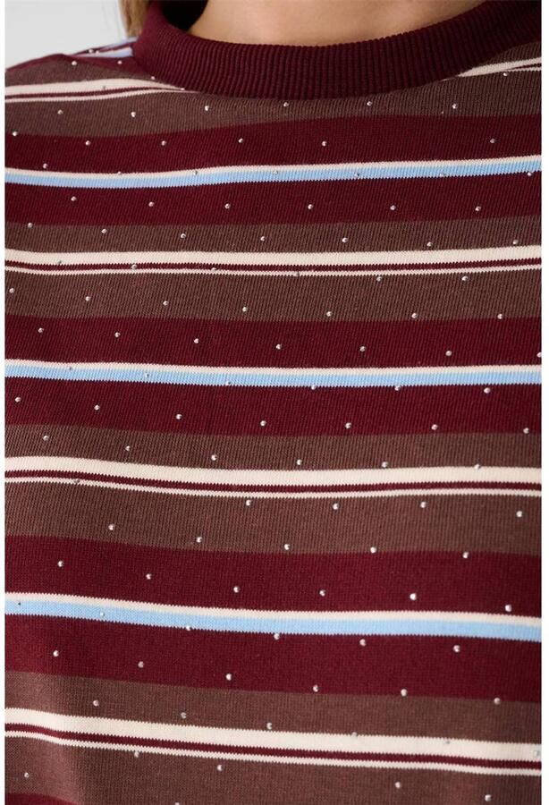Shoeby gestreepte longsleeve met strass-steentjes donkerrood bruin lichtblauw - Foto 2