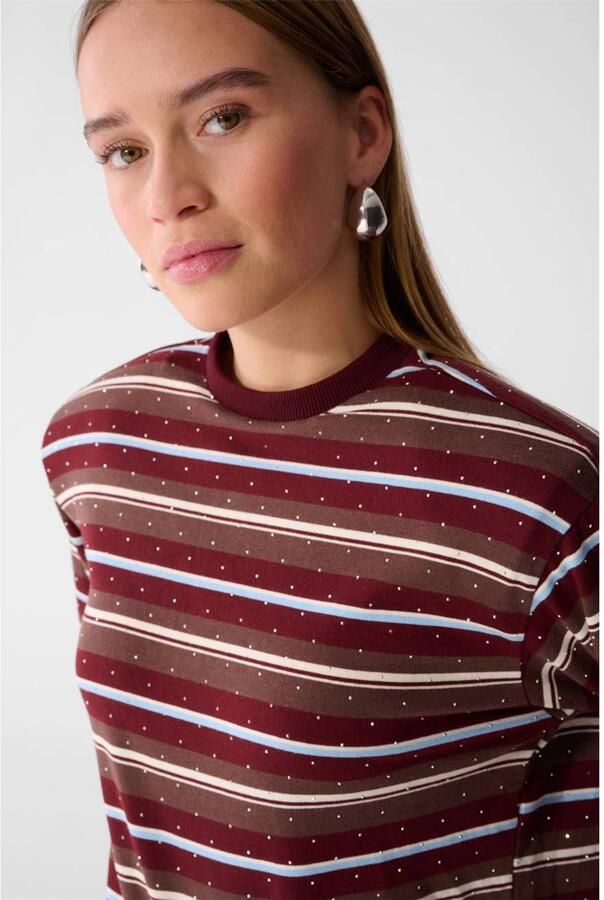 Shoeby gestreepte longsleeve met strass-steentjes donkerrood bruin lichtblauw - Foto 3