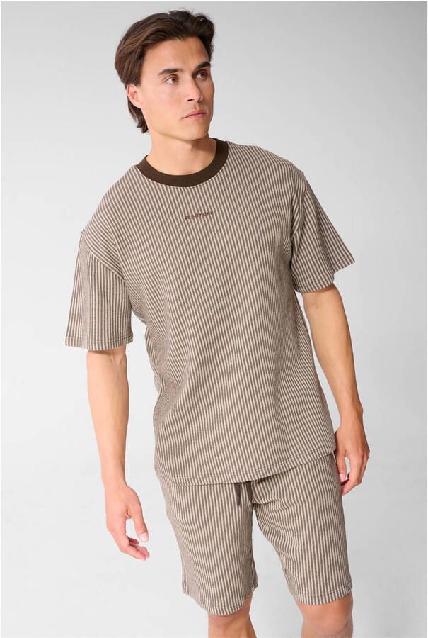 Shoeby regular fit gestreept T-shirt bruin