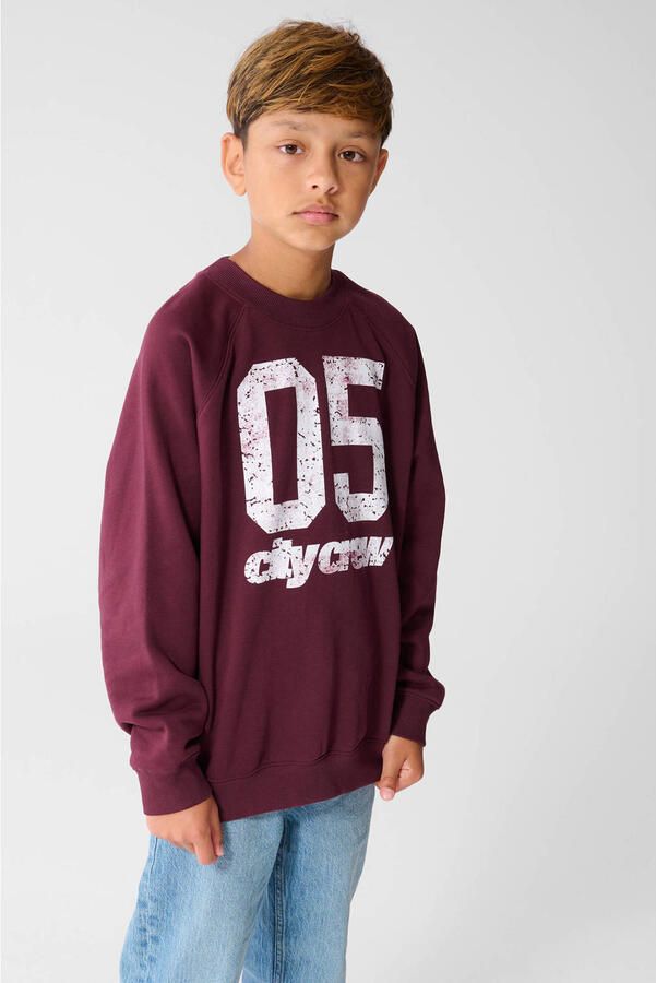 Shoeby sweater met print donkerrood