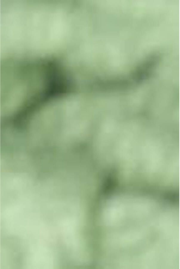 Sissy-Boy gebreid vest groen - Foto 2