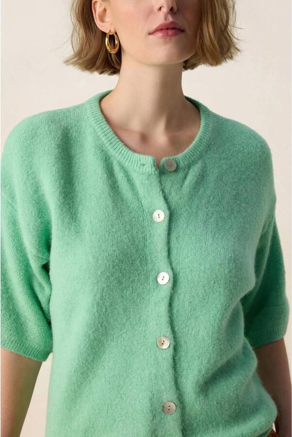 Sissy-Boy gebreid vest met wol lichtgroen