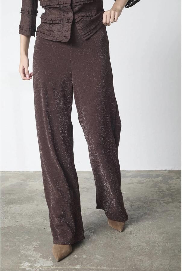 SisterS Point wide leg regular waist broek met lurex