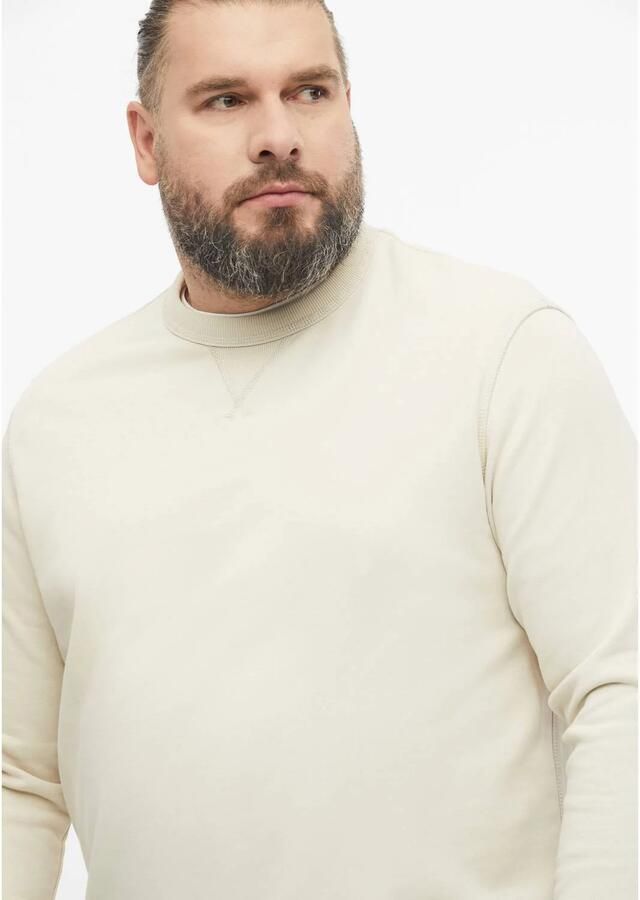 S.Oliver Big Size regular fit trui beige - Foto 2
