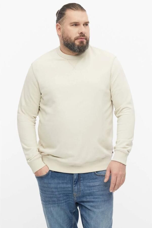 S.Oliver Big Size regular fit trui beige
