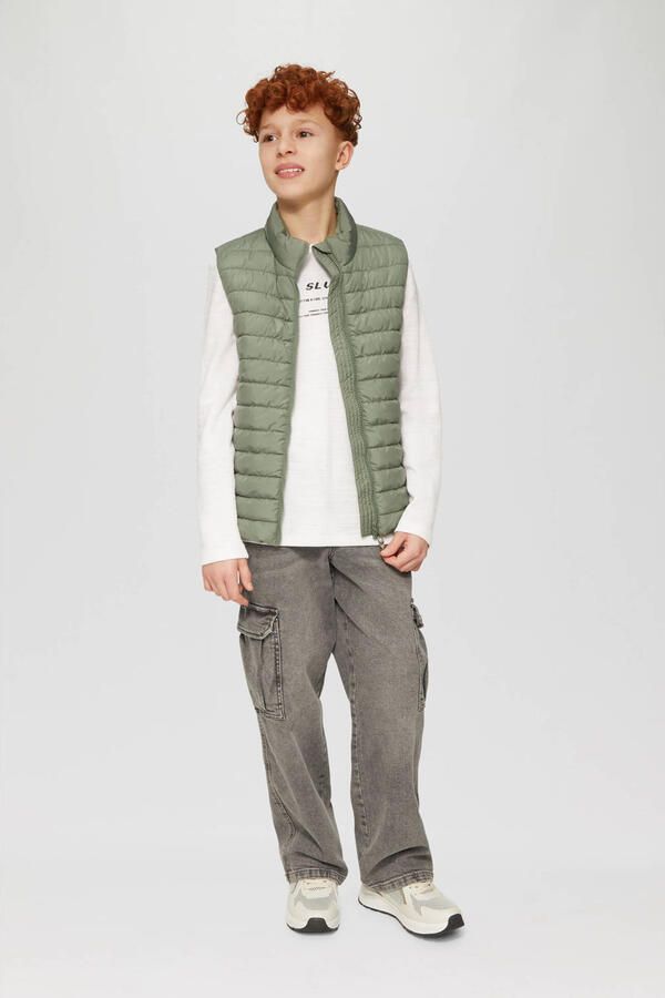 S.Oliver RED LABEL Regular fit bodywarmer met opstaande kraag - Foto 2