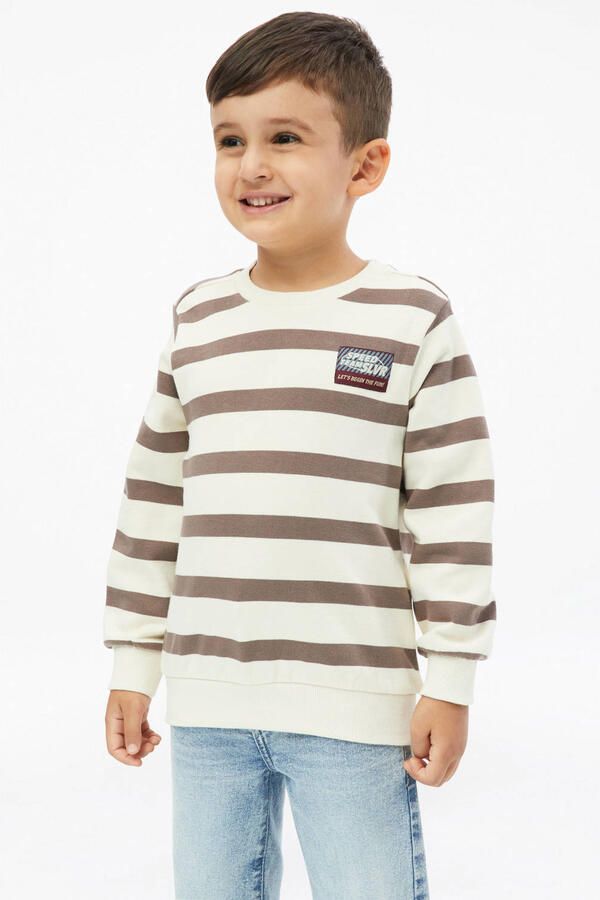 S.Oliver gestreepte sweater beige