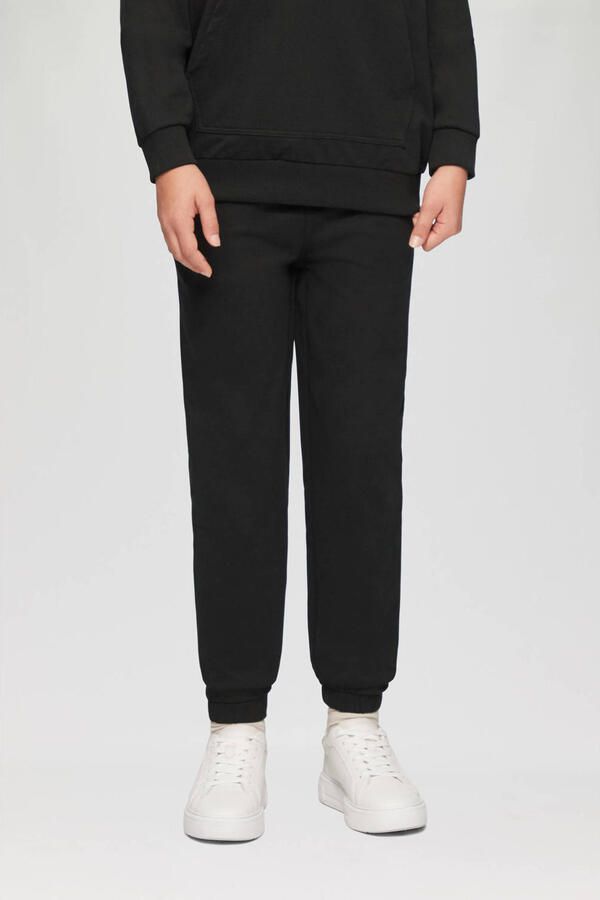 S.Oliver RED LABEL Regular fit joggingbroek van sweatstof - Foto 2