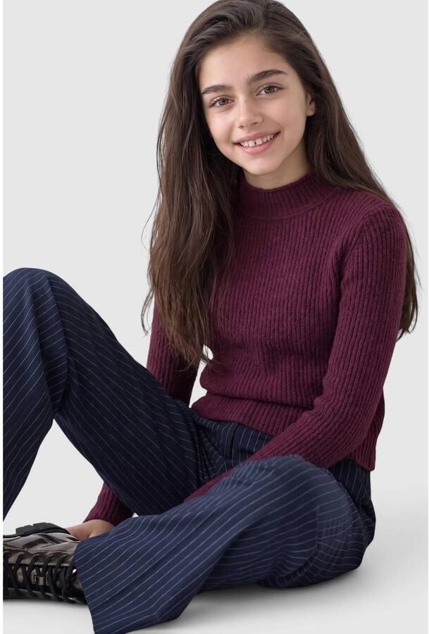 S.Oliver longsleeve paars - Foto 2