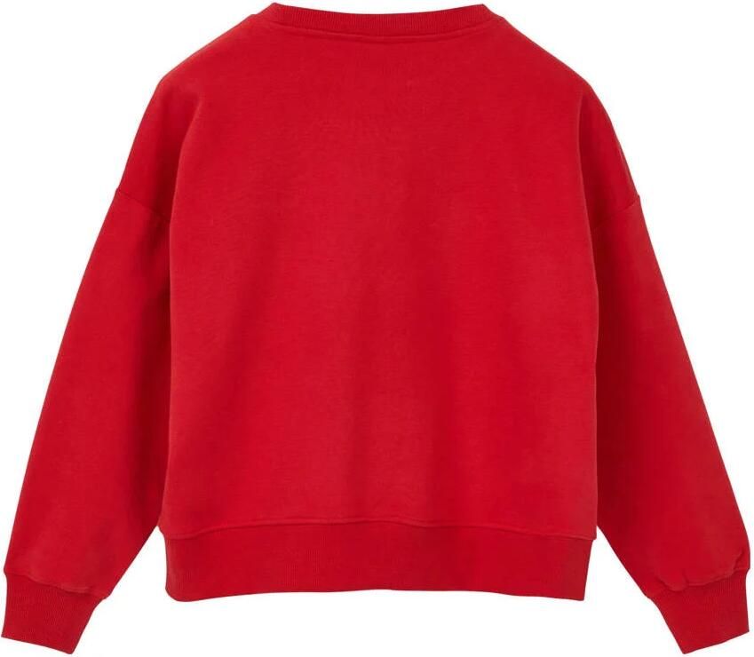 S.Oliver sweater rood