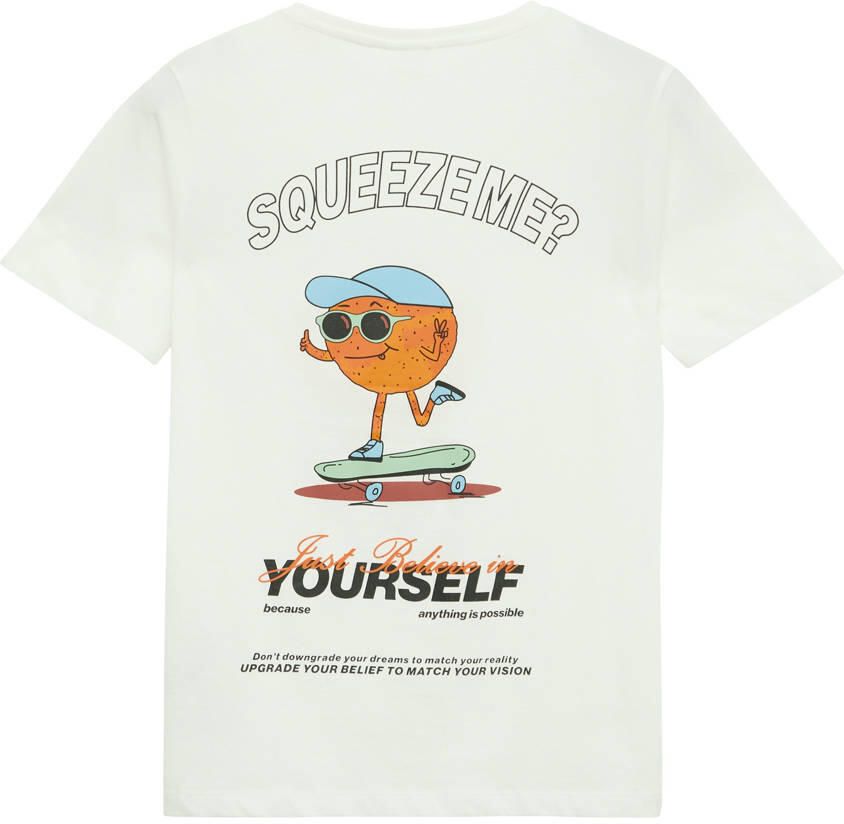 S.Oliver RED LABEL Regular fit T-shirt van puur katoen