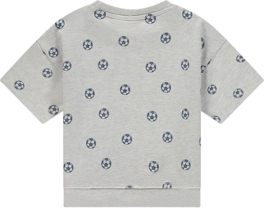 Stains&Stories T-shirt lichtgrijs Jongens Katoen Ronde hals All over print - Foto 2