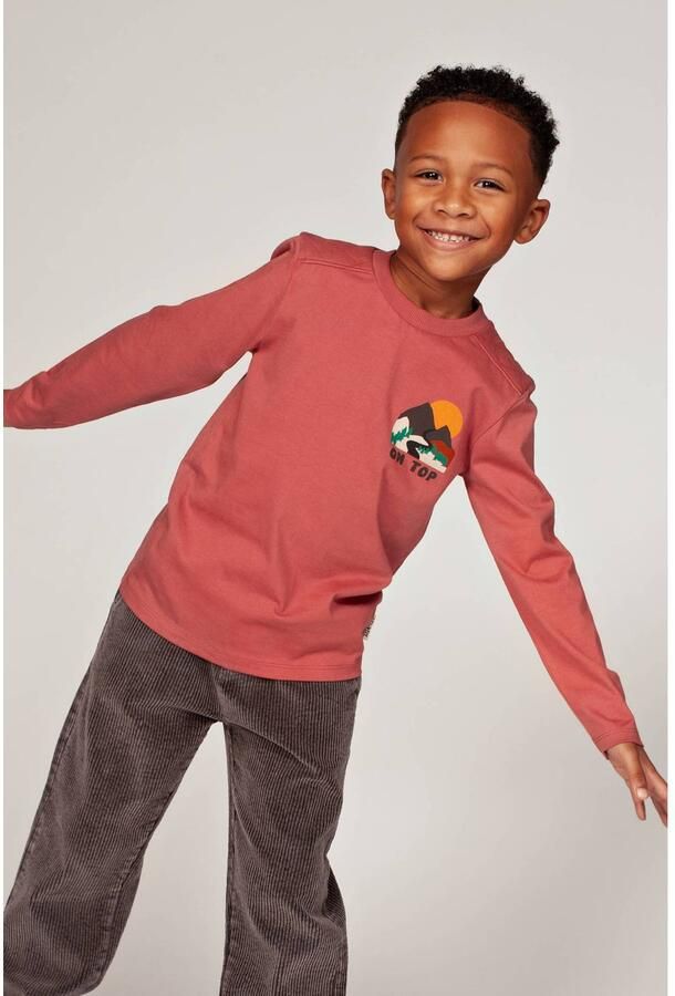 Sturdy longsleeve Mountain top oudroze
