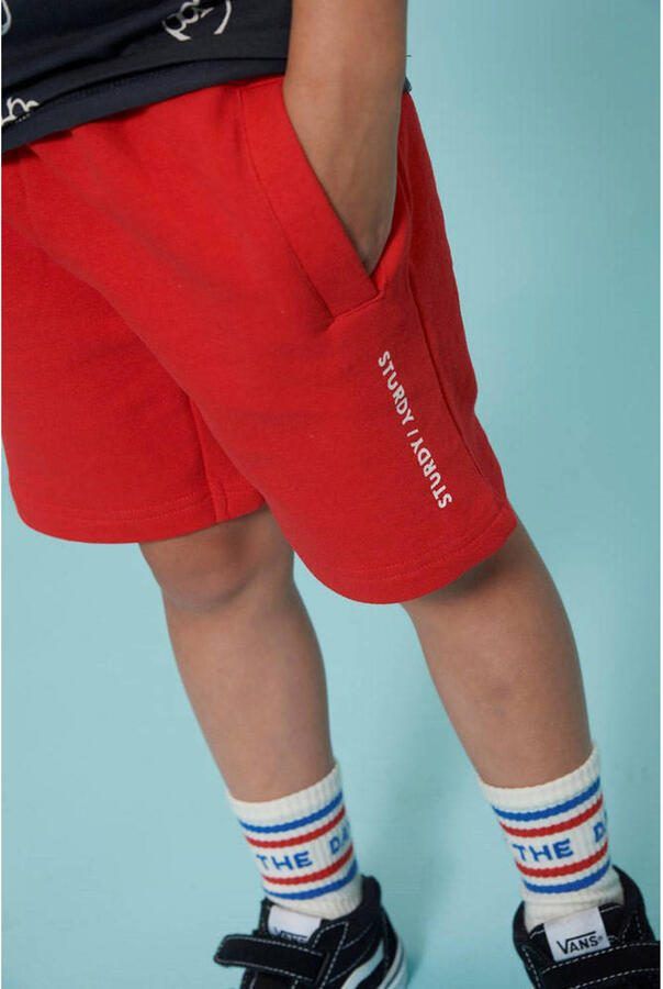 Sturdy sokken Run the Day ecru blauw rood