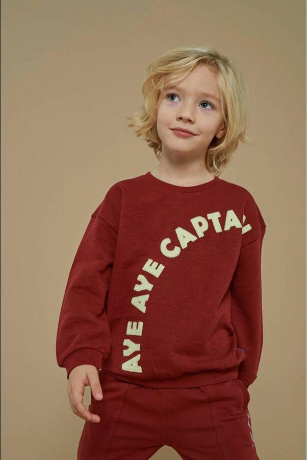 Sturdy sweater donkerrood