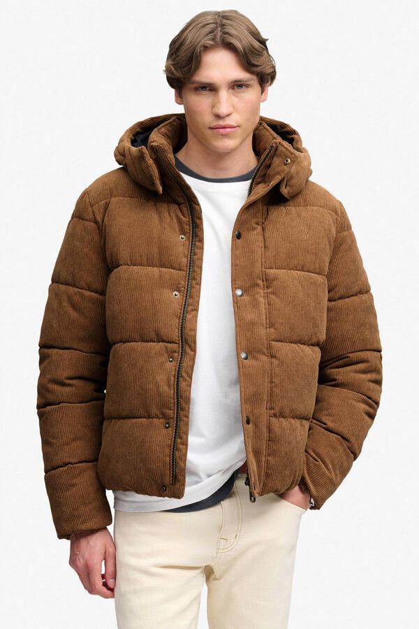 Superdry PREMIUM HOOD CORD PUFFER corduroy gewatteerde jas bruin