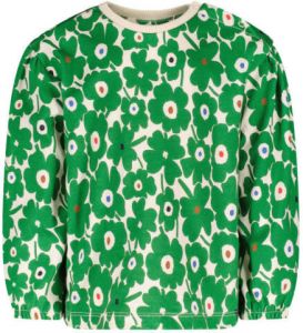 The New Chapter unisex sweater met bloe groen