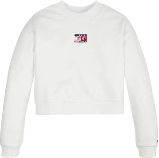 Tommy Hilfiger hoodie met logo wit