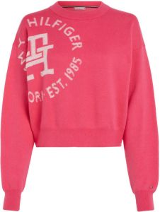 Tommy Hilfiger Graphic sweater roze Ww0Ww38998 T1K Roze Dames