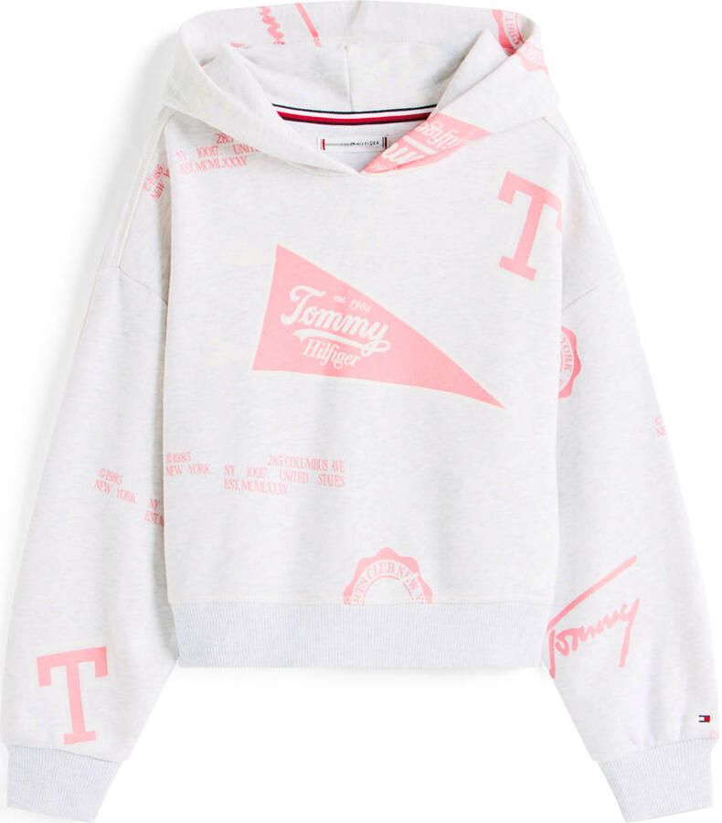 Tommy Hilfiger hoodie grijs melange