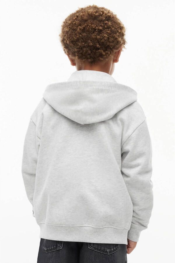 TOMMY HILFIGER Jongens Truien & Vesten Brand Love Fz Hoodie Lichtgrijs - Foto 5