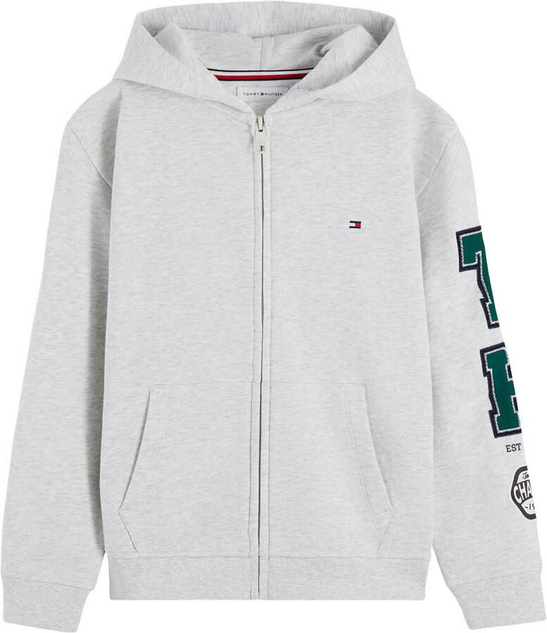 TOMMY HILFIGER Jongens Truien & Vesten Brand Love Fz Hoodie Lichtgrijs - Foto 3