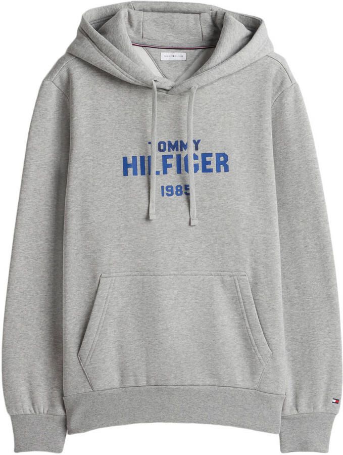 Tommy Hilfiger regular fit hoodie met print lichtgrijs