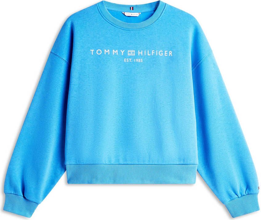 Tommy Hilfiger sweater blauw