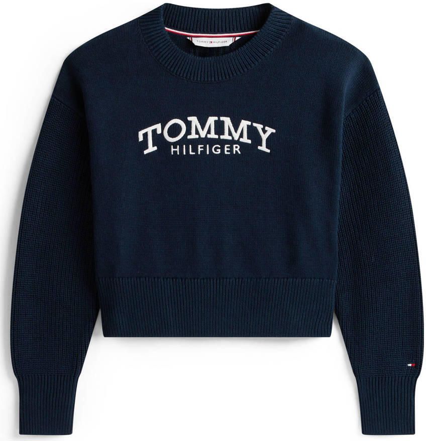 Tommy Hilfiger sweater donkerblauw