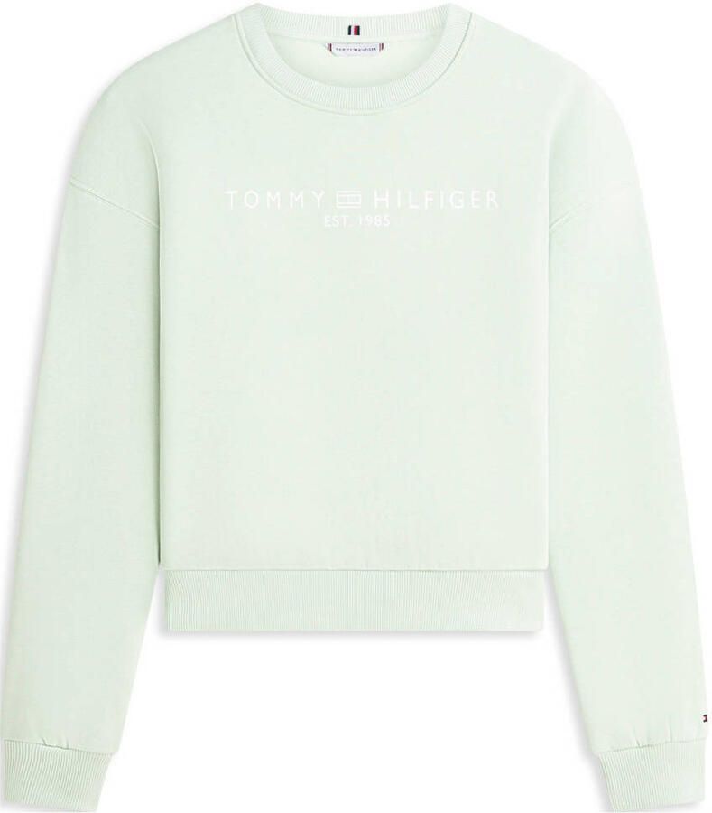 Tommy Hilfiger sweater