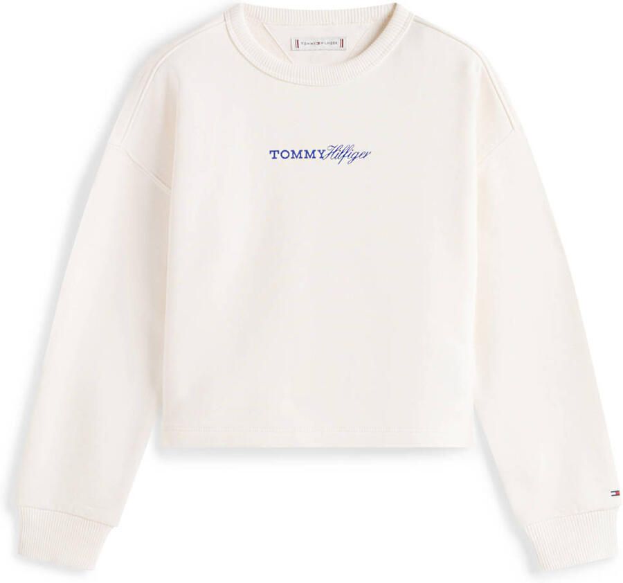 Tommy Hilfiger sweater wit