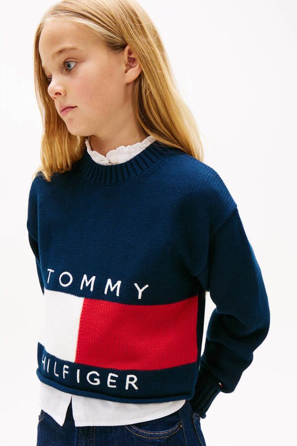 Tommy Hilfiger trui donkerblauw gebreid
