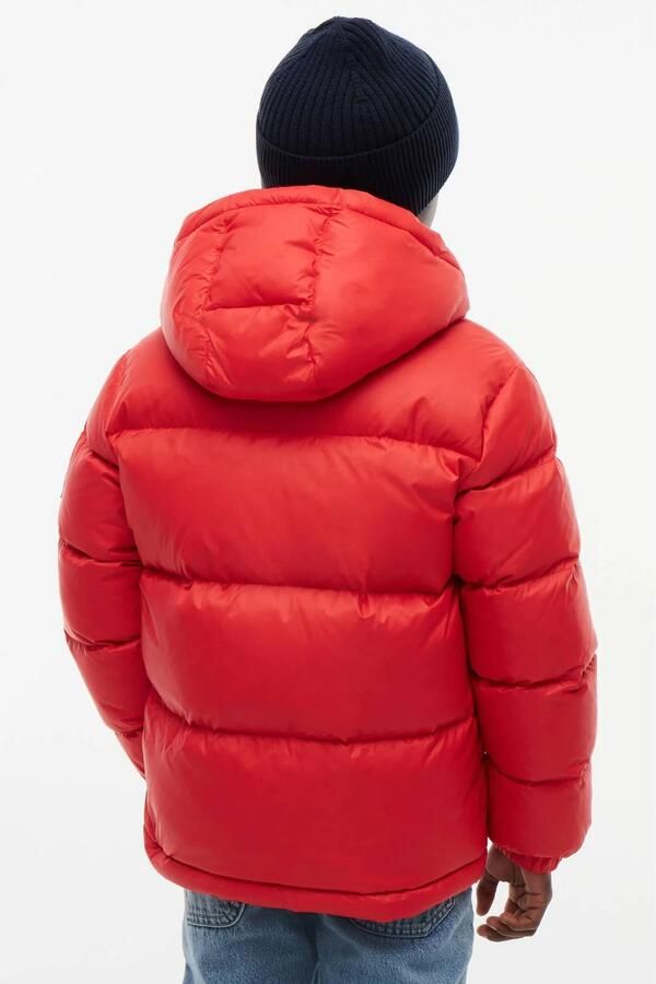 Tommy Hilfiger winterjas rood Jongens Nylon Effen - Foto 3