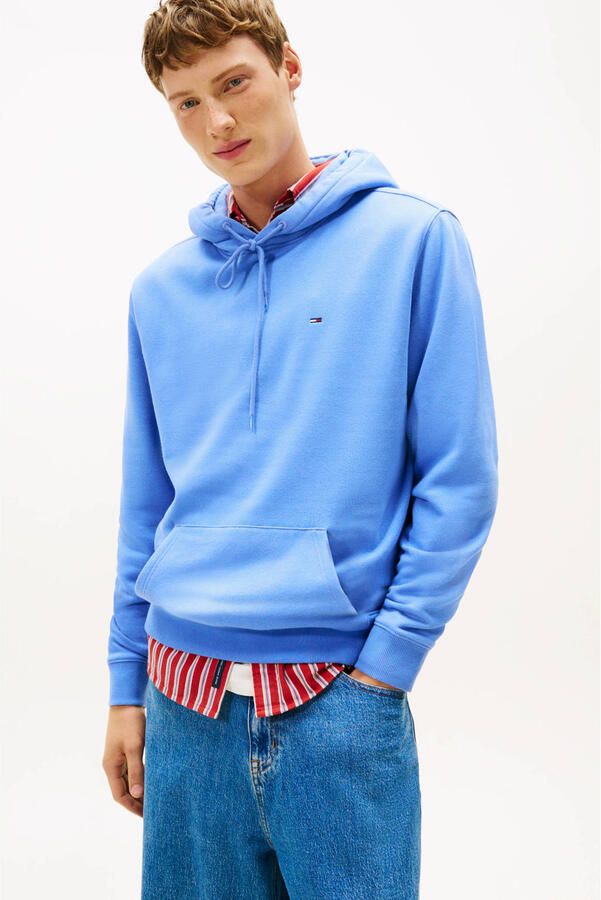 Tommy Hilfiger Capuchon sweaters Tjm Reg S Flags DM0DM20742