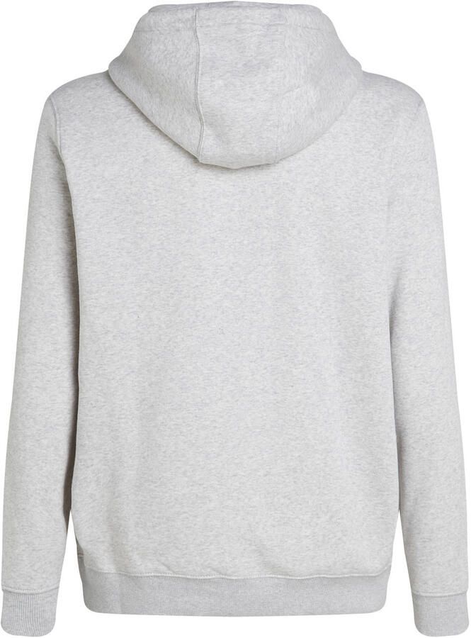 TOMMY JEANS Sweatshirt TJM REG S FLAG HOODIE met geborduurd merklogo op borsthoogte