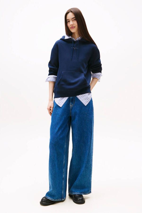 TOMMY JEANS Hoodie TJW REG LINEAR HOODIE EXT