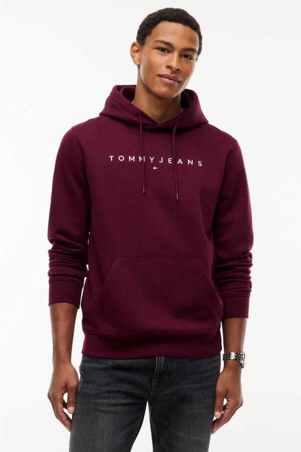 Tommy Hilfiger Capuchon sweaters TJM REG LINEAR LOGO DM0DM20746