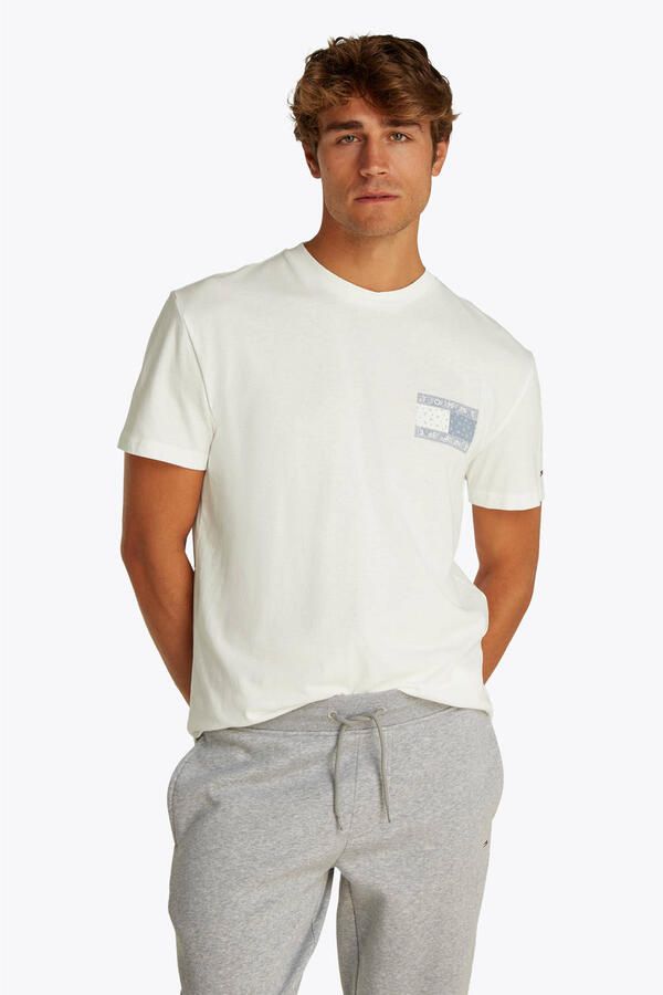 TOMMY JEANS Shirt met korte mouwen TJM REG PAISLEY FLAG TEE EXT - Foto 2