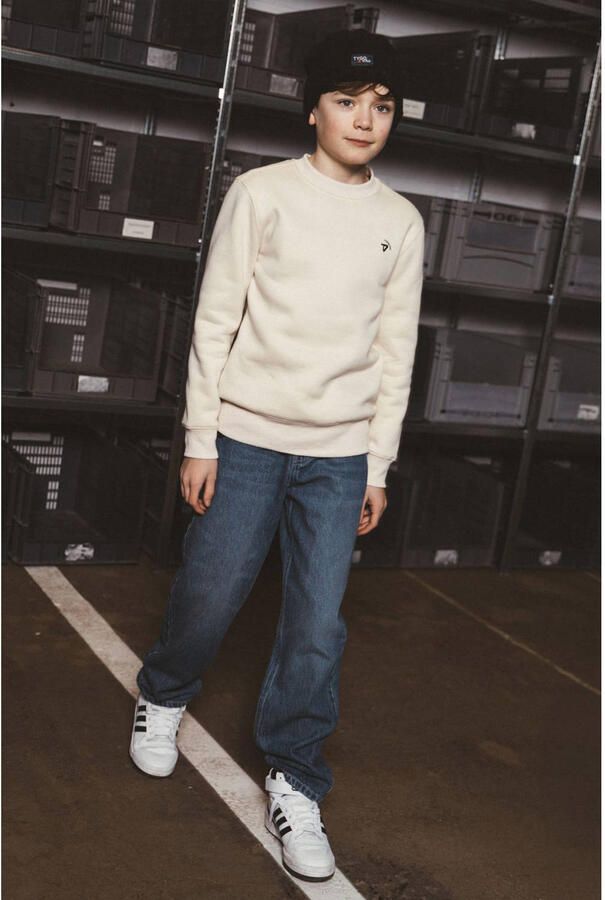 TYGO & vito NextGen sweater met backprint lichtgrijs