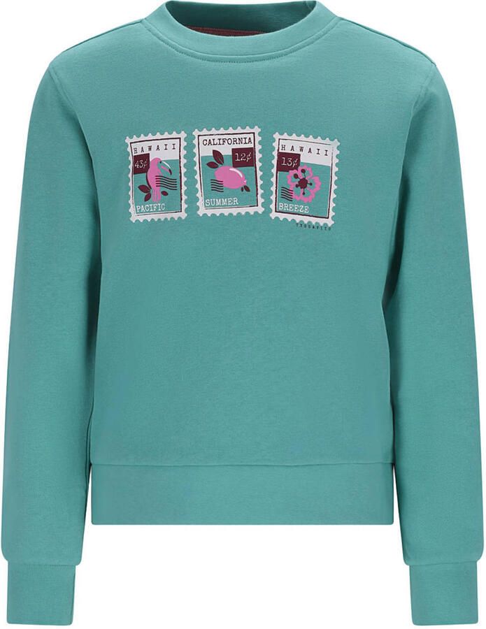 TYGO & vito sweater groen